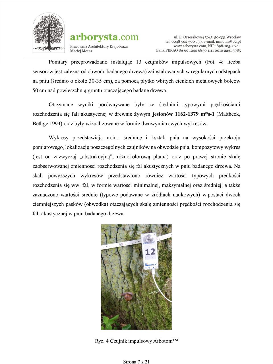 powierzchnią gruntu otaczającego badane drzewa.