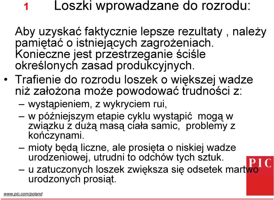 Trafienie do rozrodu loszek o większej wadze niż założona może powodować trudności z: wystąpieniem, z wykryciem rui, w późniejszym etapie