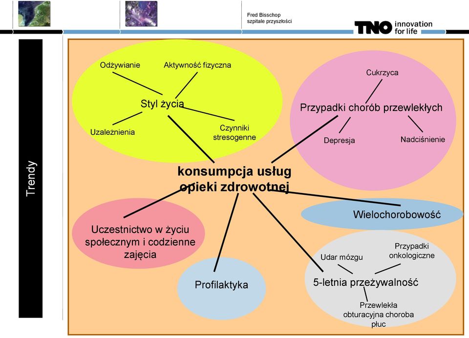 zdrowotnej Uczestnictwo w życiu społecznym i codzienne zajęcia Profilaktyka Udar mózgu