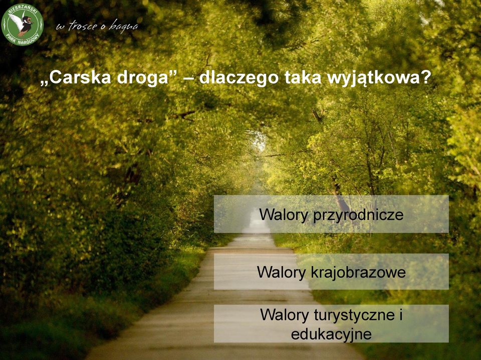 Walory przyrodnicze Walory