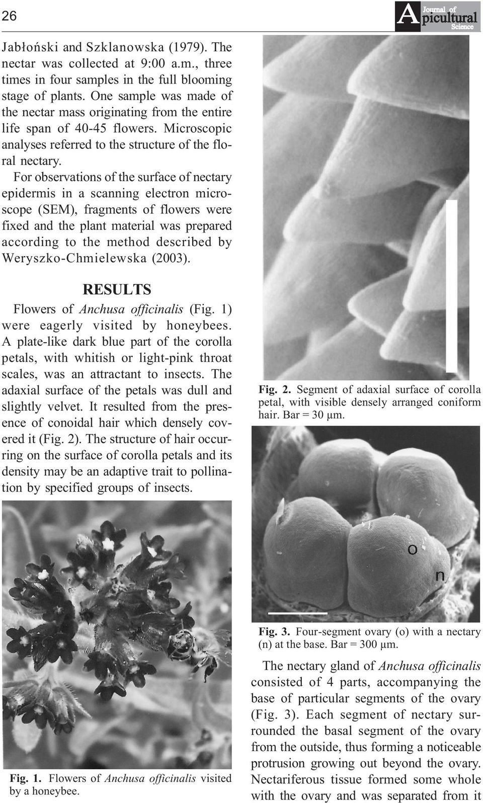 For observations of the surface of nectary epidermis in a scanning electron microscope (SEM), fragments of flowers were fixed and the plant material was prepared according to the method described by