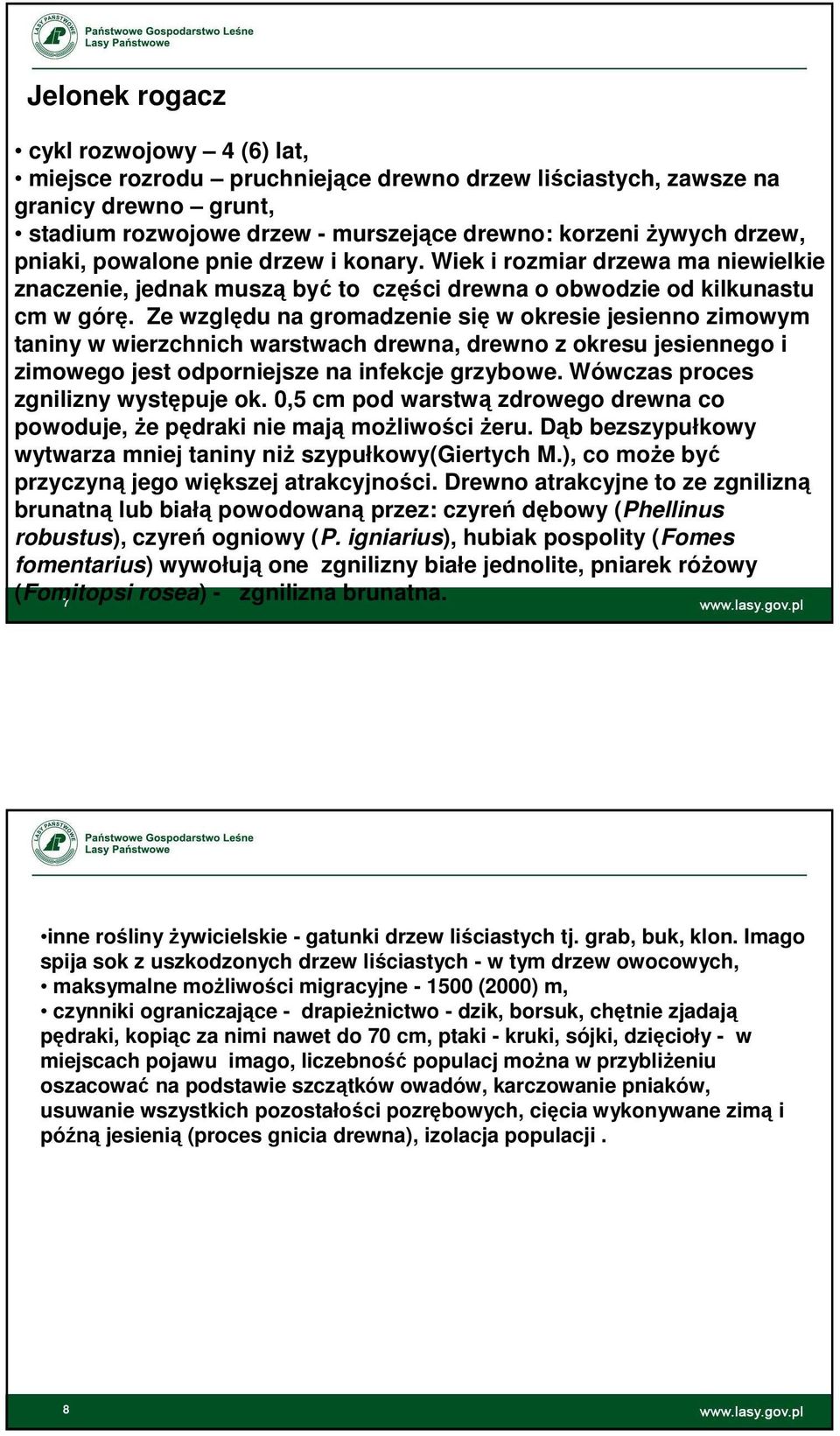 Ze względu na gromadzenie się w okresie jesienno zimowym taniny w wierzchnich warstwach drewna, drewno z okresu jesiennego i zimowego jest odporniejsze na infekcje grzybowe.