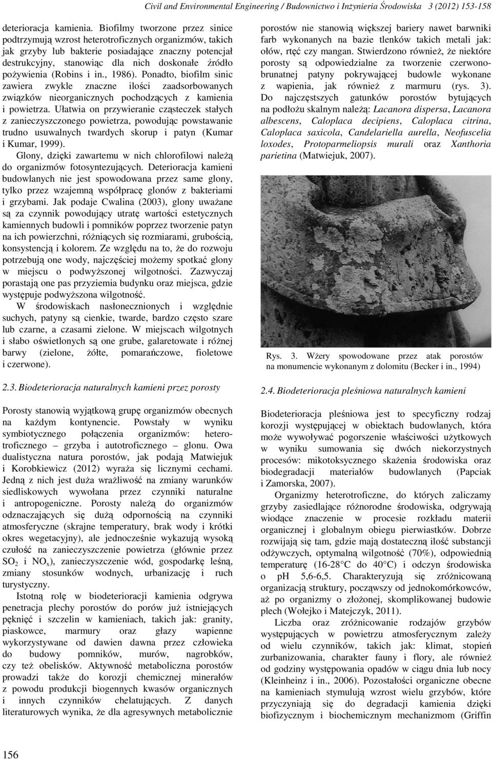 pożywienia (Robins i in., 1986). Ponadto, biofilm sinic zawiera zwykle znaczne ilości zaadsorbowanych związków nieorganicznych pochodzących z kamienia i powietrza.