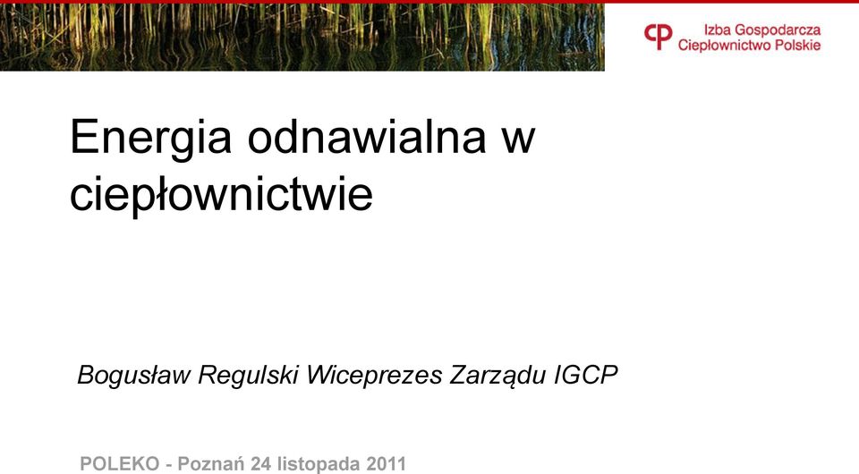 Regulski Wiceprezes Zarządu