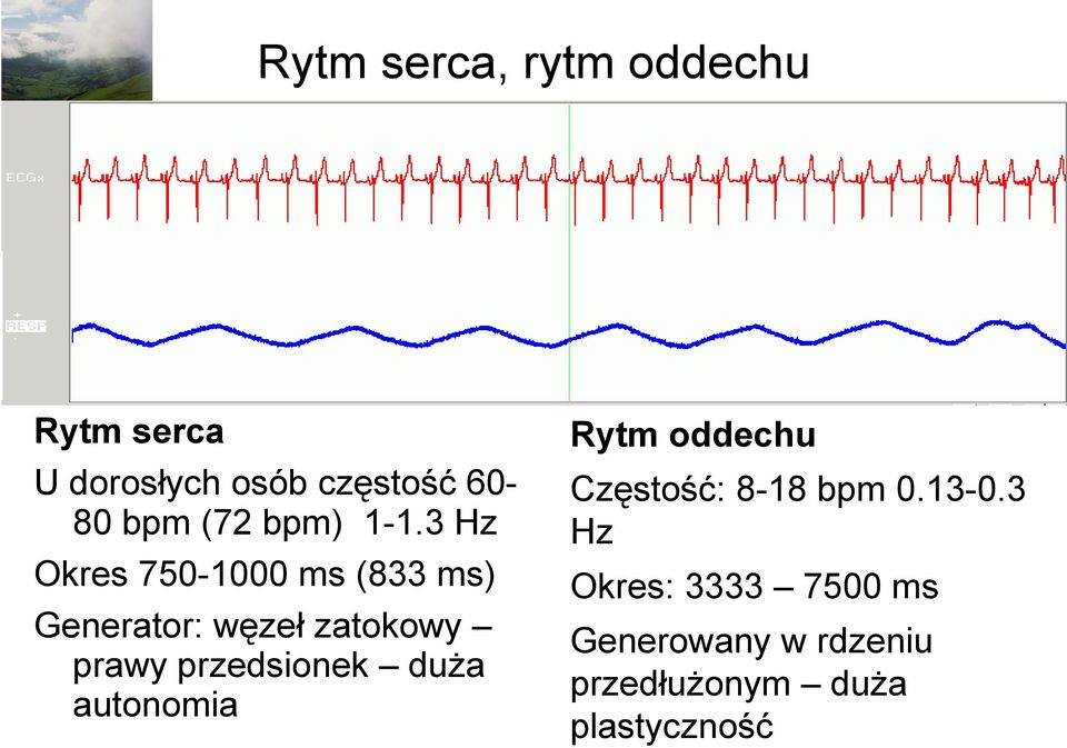 3 Hz Okres 750-1000 ms (833 ms) Generator: węzeł zatokowy prawy