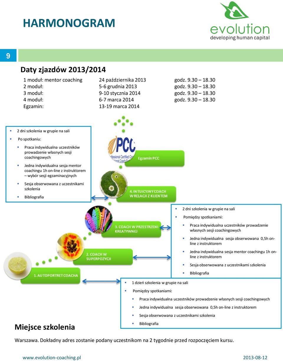 30 Egzamin: 13-19 marca 2014 2 dni szkolenia w grupie na sali Po spotkaniu: Praca indywidualna uczestników prowadzenie własnych sesji coachingowych Jedna indywidualna sesja mentor coachingu 1h