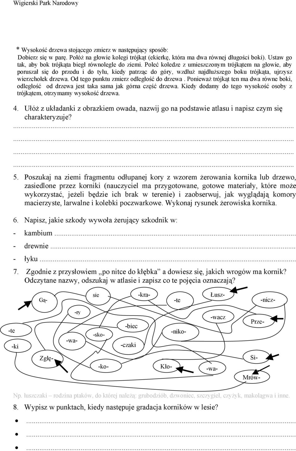 Poleć koledze z umieszczonym trójkątem na głowie, aby poruszał się do przodu i do tyłu, kiedy patrząc do góry, wzdłuż najdłuższego boku trójkąta, ujrzysz wierzchołek drzewa.