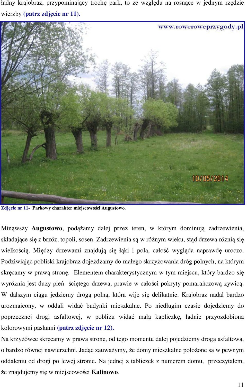 Między drzewami znajdują się łąki i pola, całość wygląda naprawdę uroczo. Podziwiając pobliski krajobraz dojeżdżamy do małego skrzyżowania dróg polnych, na którym skręcamy w prawą stronę.
