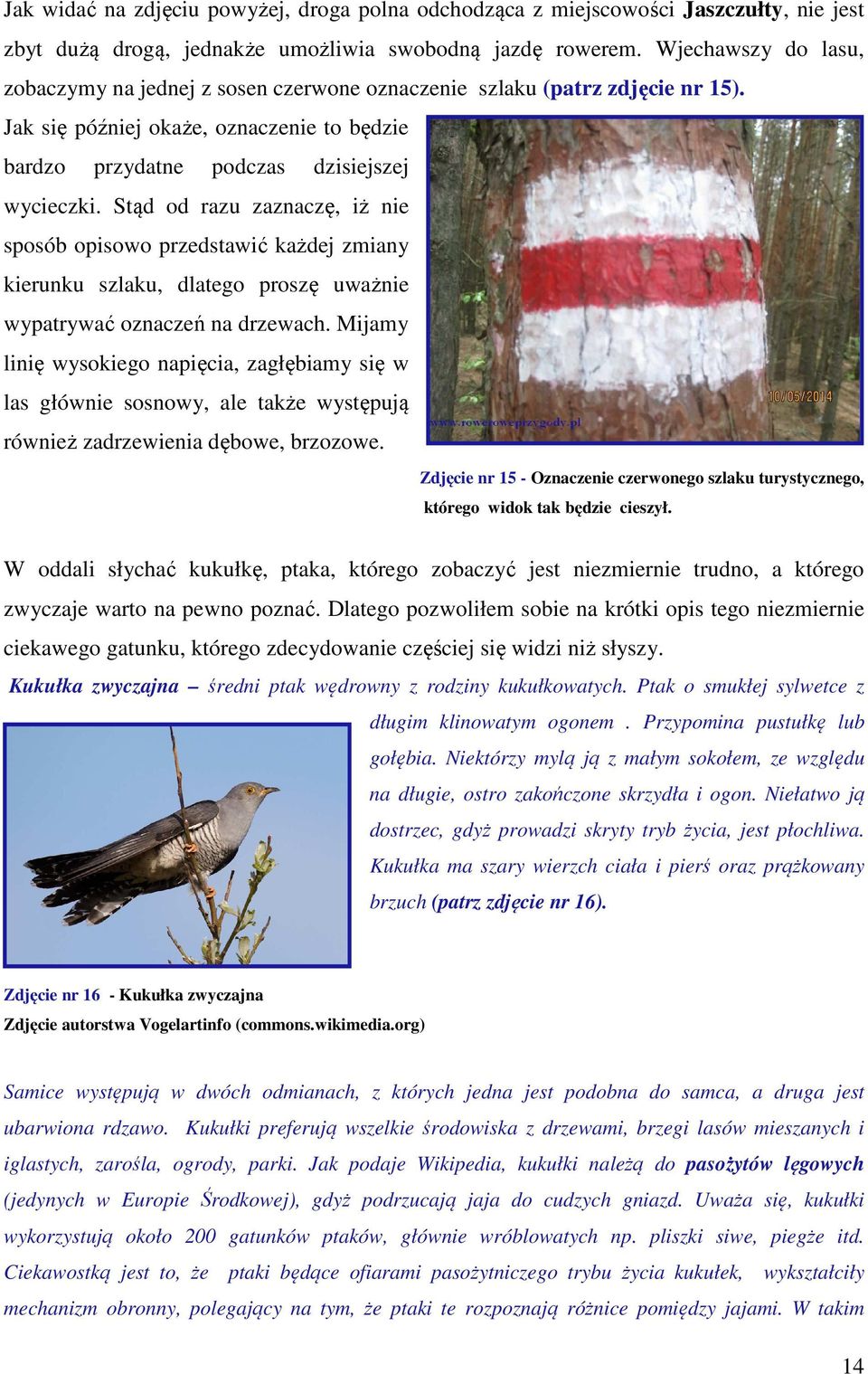 Stąd od razu zaznaczę, iż nie sposób opisowo przedstawić każdej zmiany kierunku szlaku, dlatego proszę uważnie wypatrywać oznaczeń na drzewach.