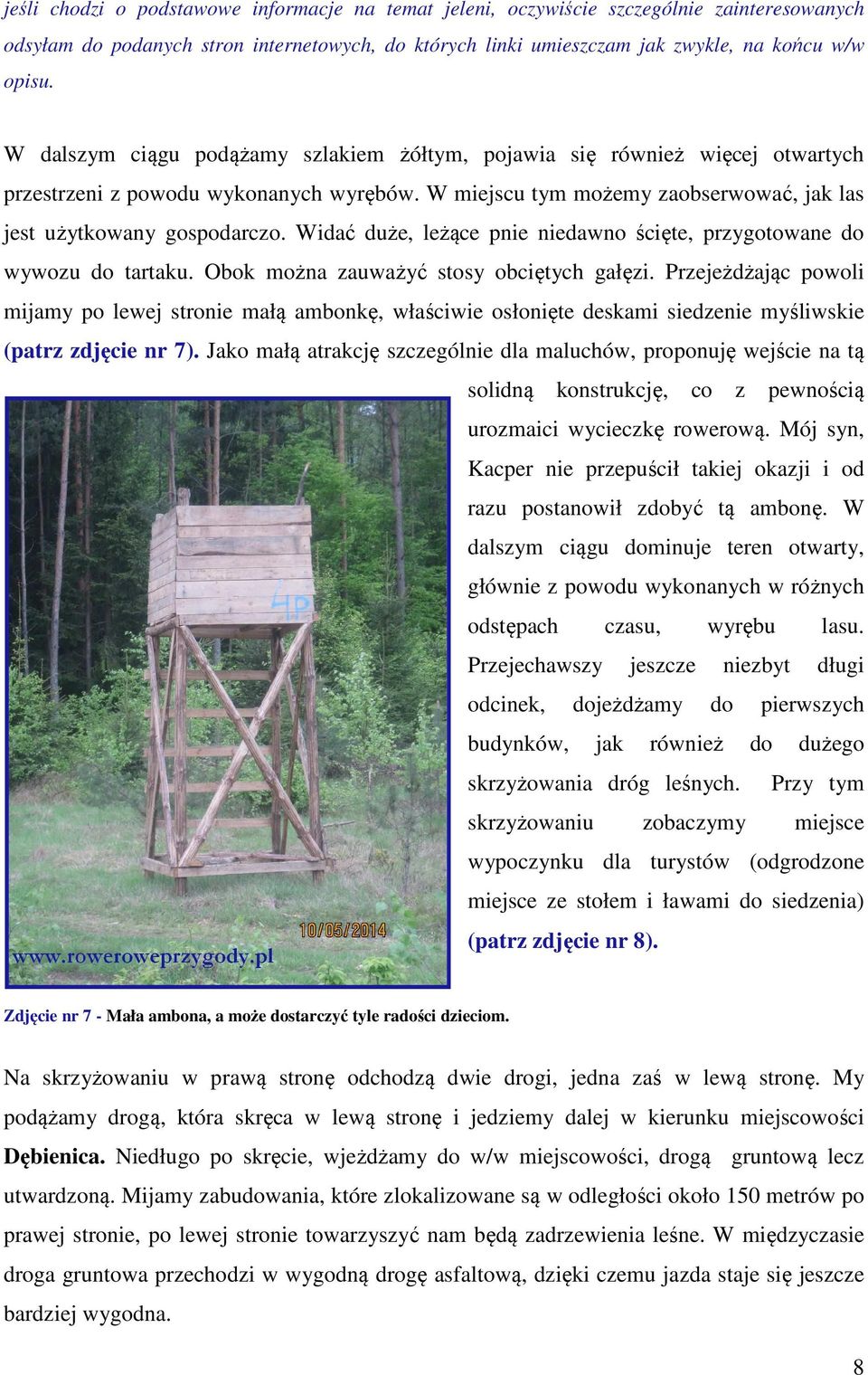 Widać duże, leżące pnie niedawno ścięte, przygotowane do wywozu do tartaku. Obok można zauważyć stosy obciętych gałęzi.