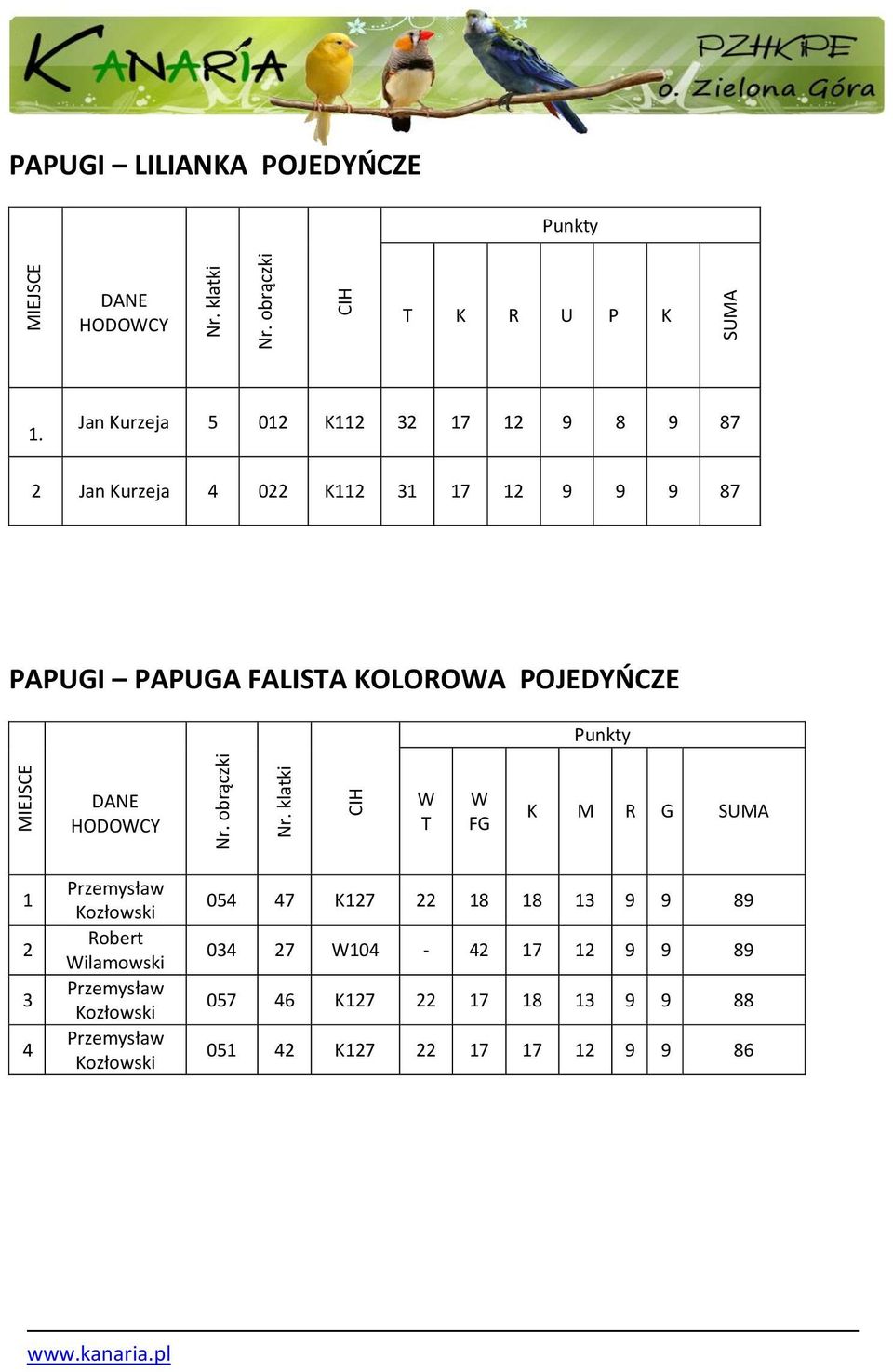 PAPUGA FALISTA KOLOROWA POJEDYOCZE W T W FG K M R G