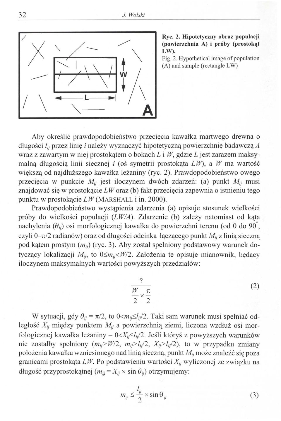 Hypothetical image ofpopulation (A) and sample (rectangle L W) Aby określić prawdopodobieństwo przecięcia kawałka martwego drewna o długości li} przez linię i należy wyznaczyć hipotetyczną