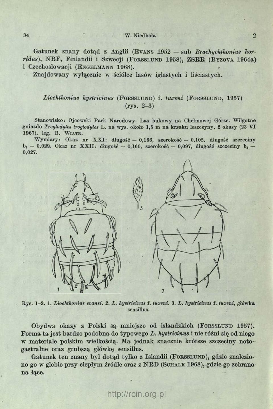 2-3) Stanow isko: Ojcowski P ark Narodowy. L as bukow y na Chełmowej Górze. W ilgotne gniazdo Troglodytes troglodytes L. na wys. około 1,5 m n a krzaku leszczyny, 2 okazy (23 VI 1967), leg. B.