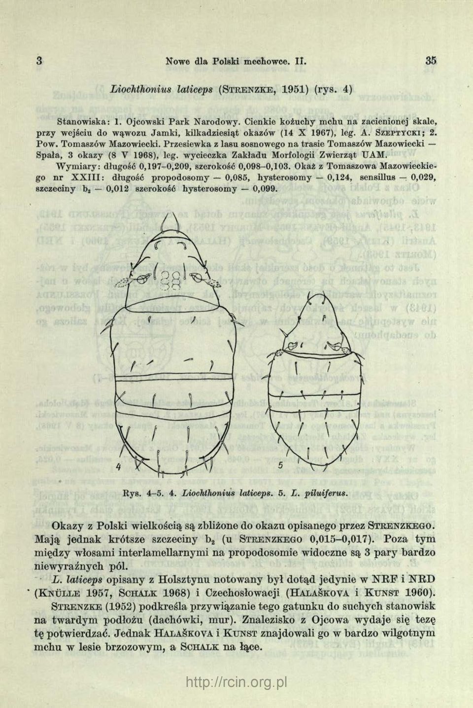 Przesiewka z lasu sosnowego n a trasie Tomaszów Mazowiecki Spała, 3 okazy (8 V 1968), leg. wycieczka Z akładu Morfologii Zw ierząt UAM. W ym iary: długość 0,197-0,209, szerokość 0,098-0,103.