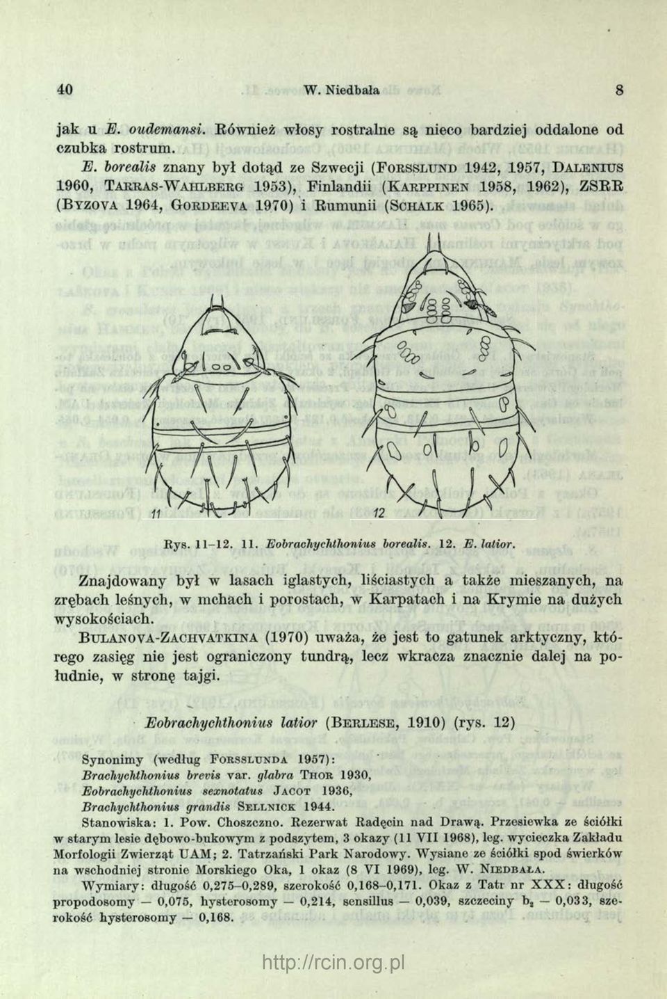 borealis znany był dotąd ze Szwecji ( F o r s s l u n d 1942, 1957, D a l e n i u s 1960, T a r r a s - W a h l b e r g 1953), Finlandii ( K a r p p i n e n 1958, 1962), ZSRR ( B y z o v a 1964, G o