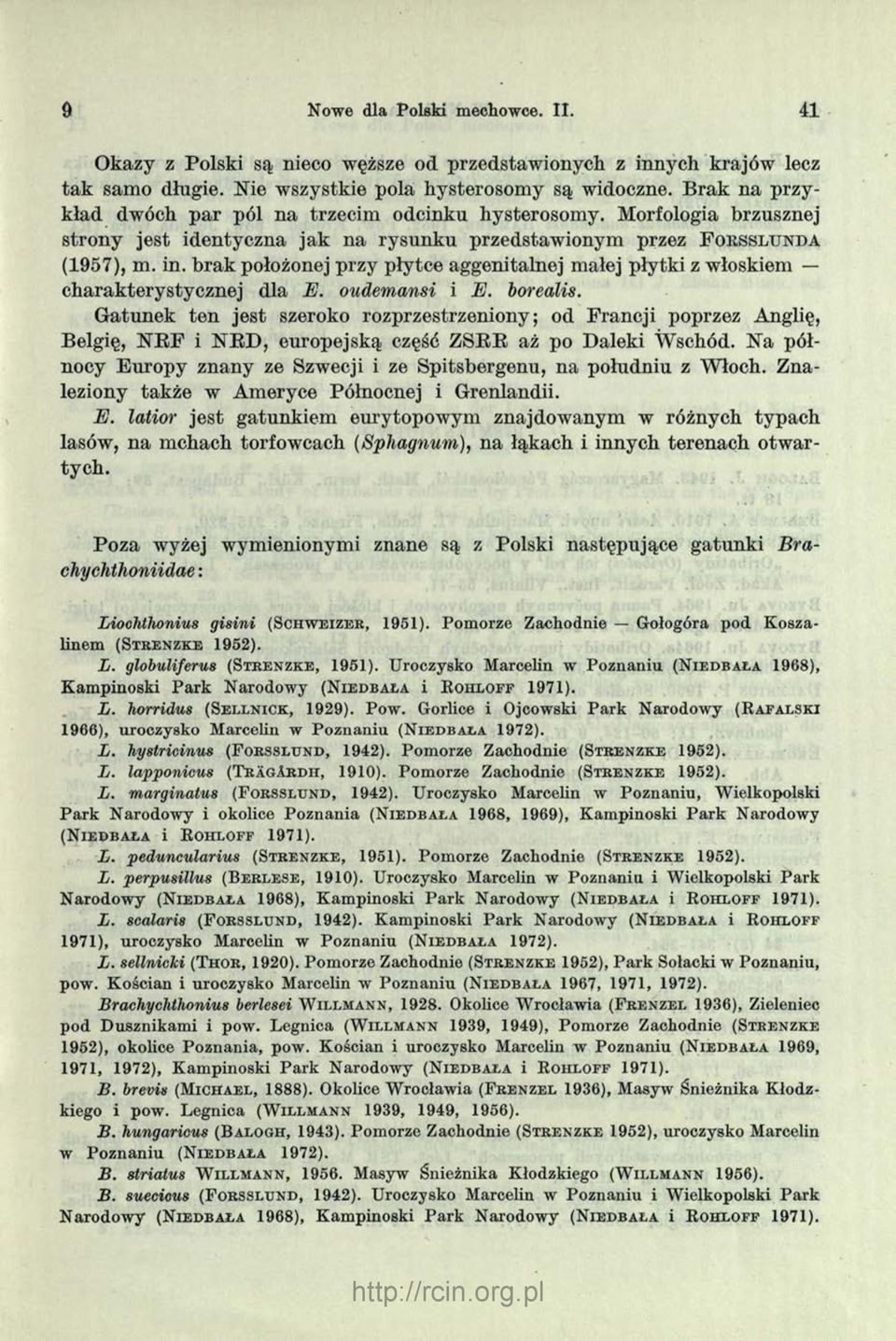 brak położonej przy płytce aggenitalnej małej płytki z włoskiem charakterystycznej dla E. oudemansi i E. borealis.