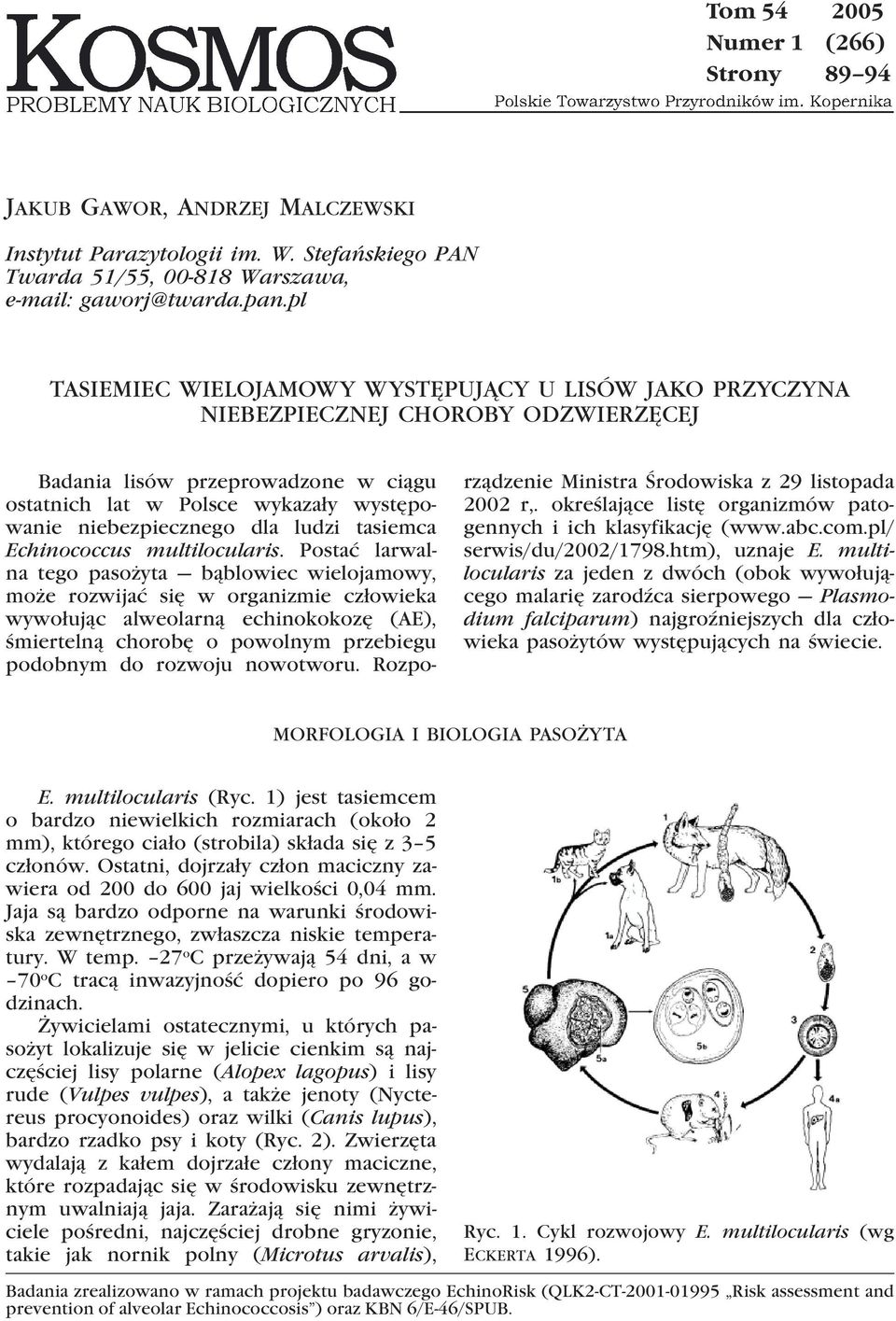 ludzi tasiemca Echinococcus multilocularis.