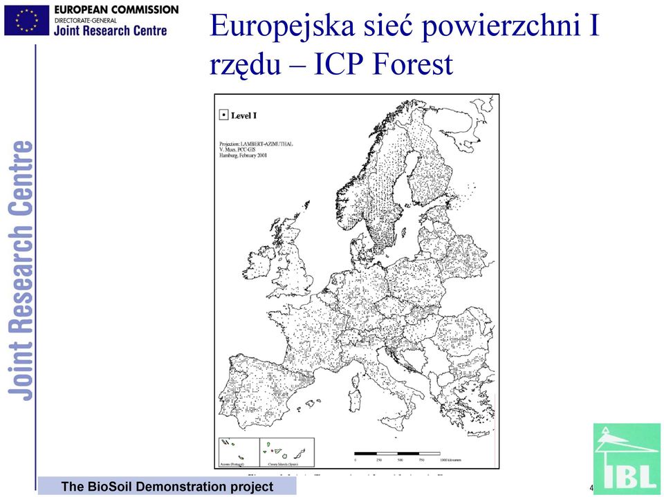 ICP Forest The