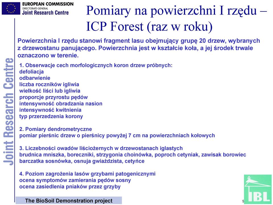 Obserwacje cech morfologicznych koron drzew próbnych: defoliacja odbarwienie liczba roczników igliwia wielkość liści lub igliwia proporcje przyrostu pędów intensywność obradzania nasion intensywność