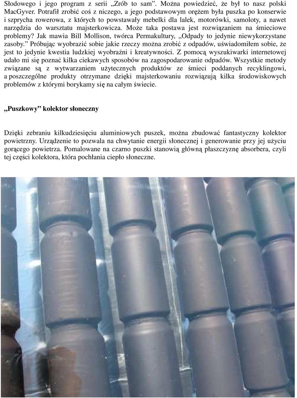 majsterkowicza. MoŜe taka postawa jest rozwiązaniem na śmieciowe problemy? Jak mawia Bill Mollison, twórca Permakultury, Odpady to jedynie niewykorzystane zasoby.