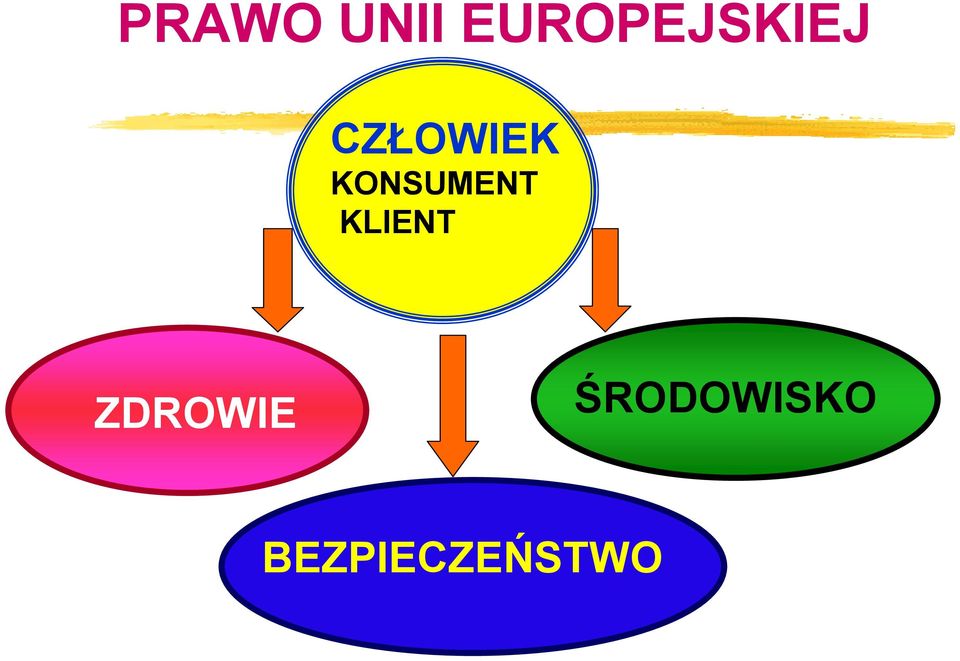 CZŁOWIEK KONSUMENT