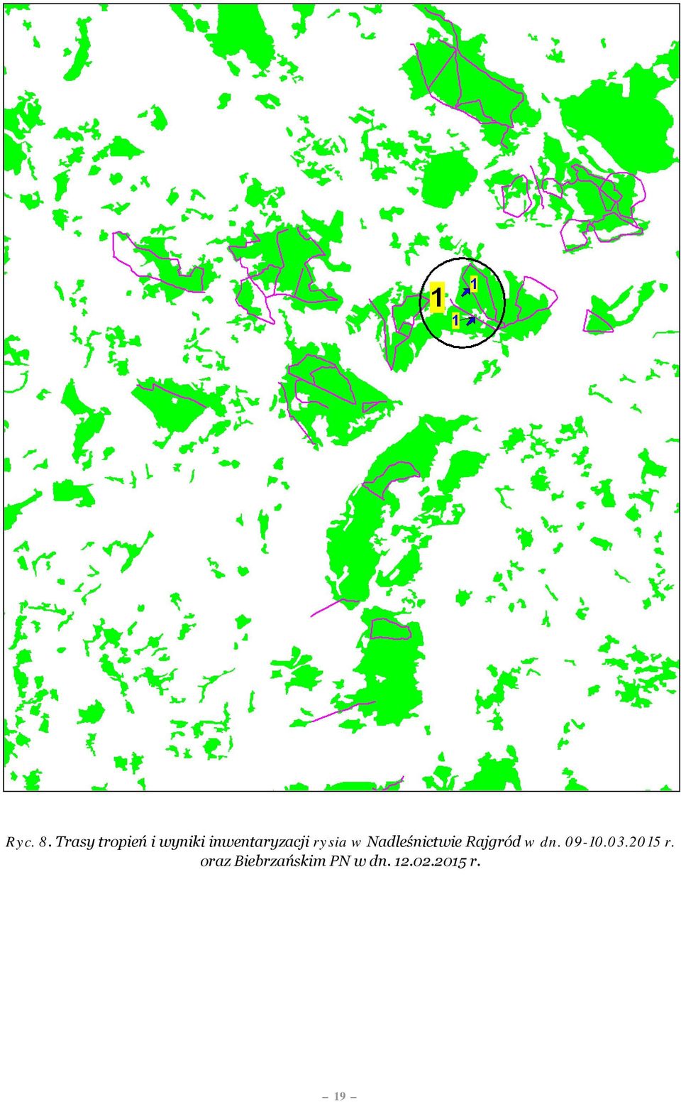 inwentaryzacji rysia w