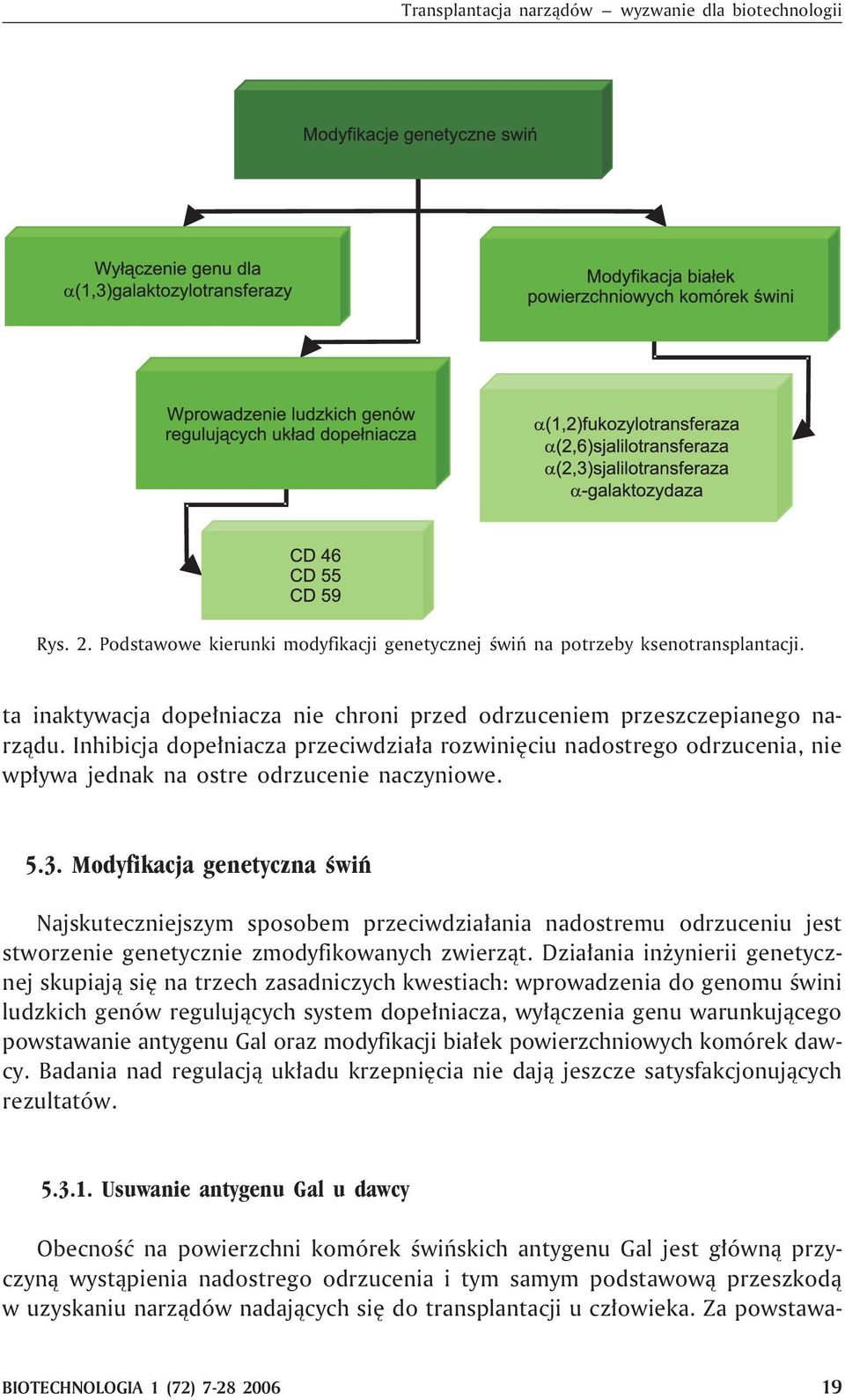 Inhibicja dope³niacza przeciwdzia³a rozwiniêciu nadostrego odrzucenia, nie wp³ywa jednak na ostre odrzucenie naczyniowe. 5.3.