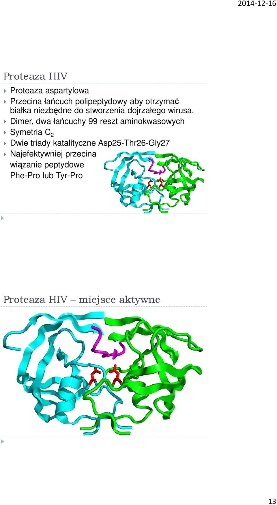 Dimer, dwa łańcuchy 99 reszt aminokwasowych Symetria C 2 Dwie triady