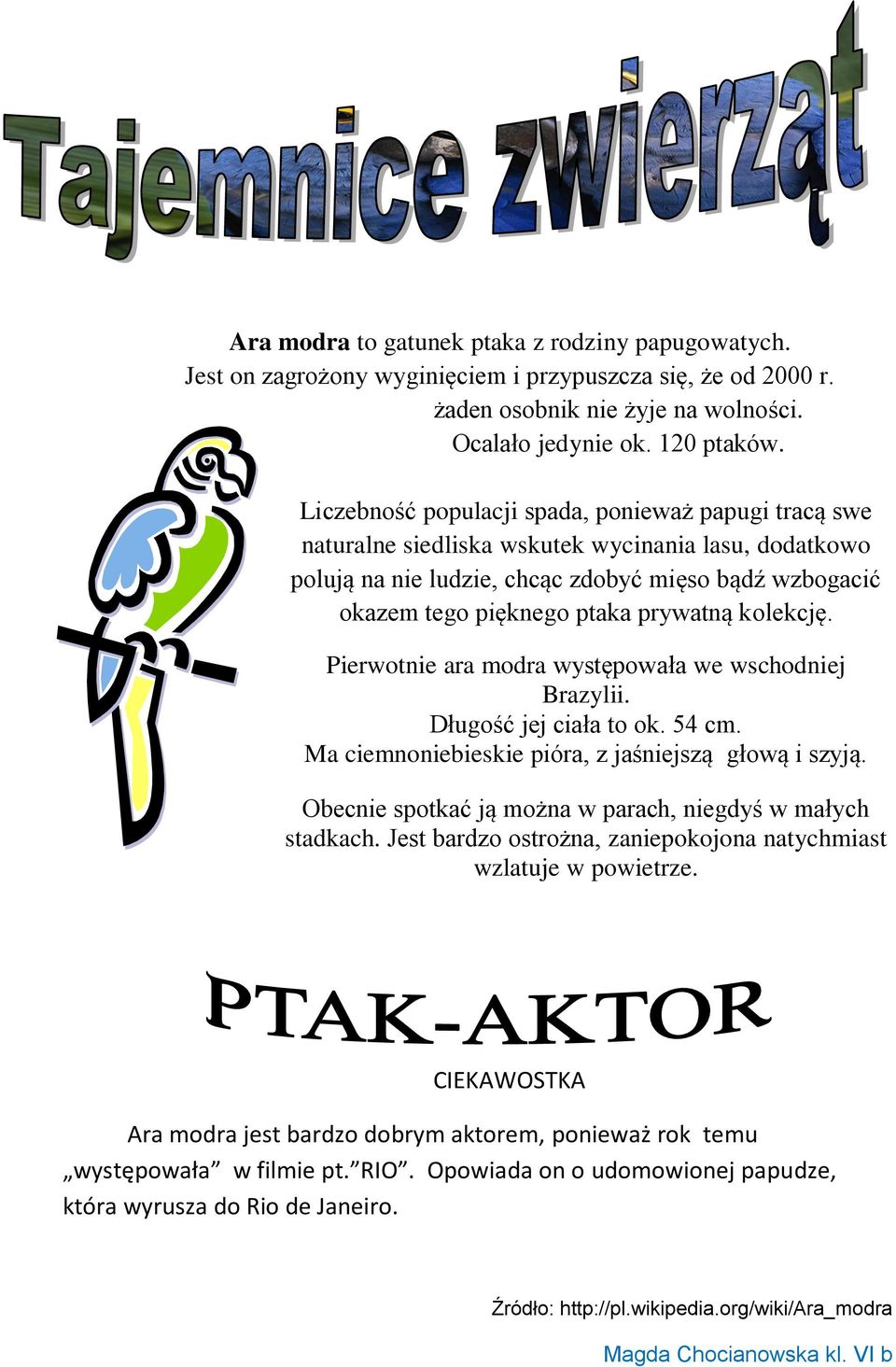 kolekcję. Pierwotnie ara modra występowała we wschodniej Brazylii. Długość jej ciała to ok. 54 cm. Ma ciemnoniebieskie pióra, z jaśniejszą głową i szyją.