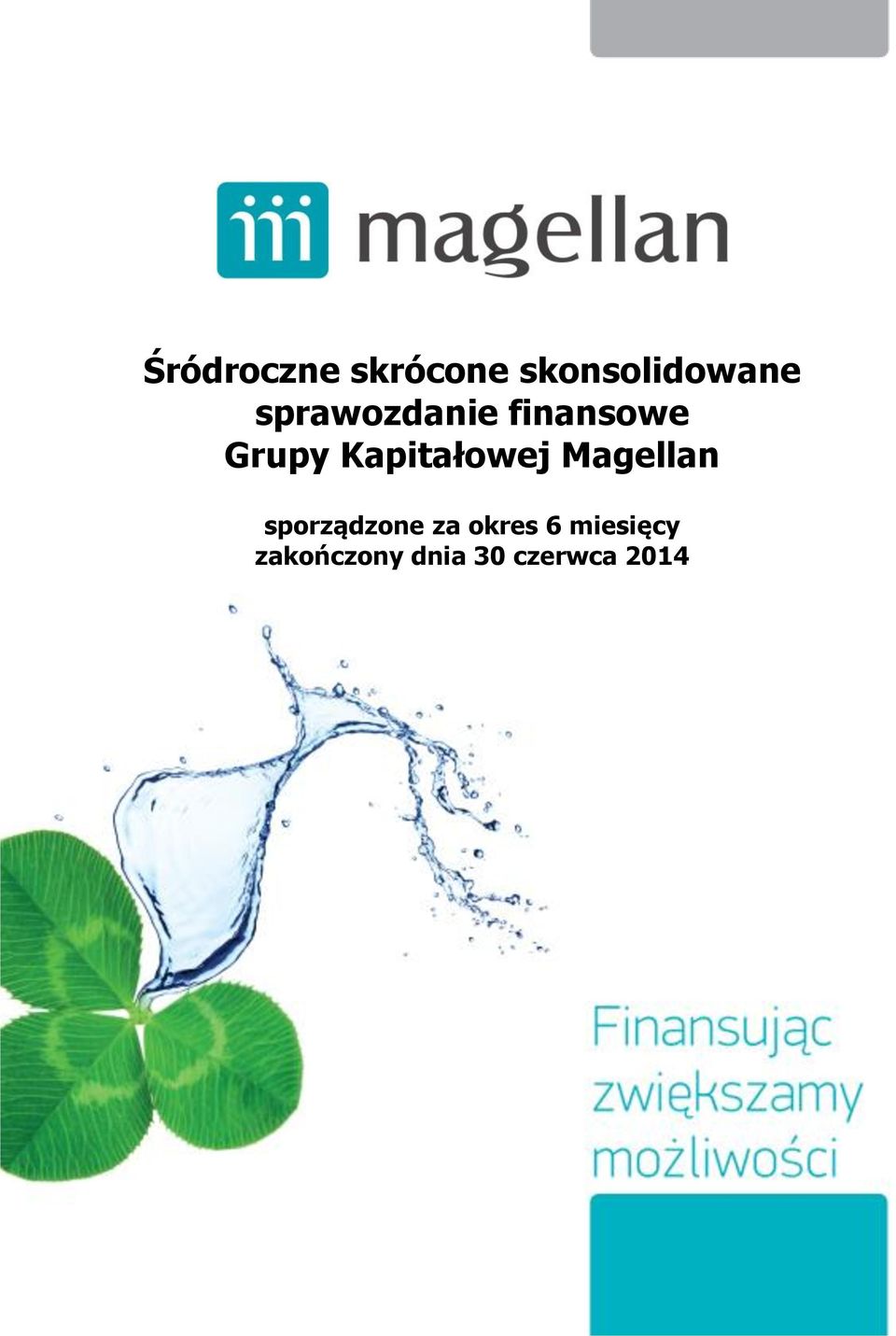 finansowe Grupy Kapitałowej