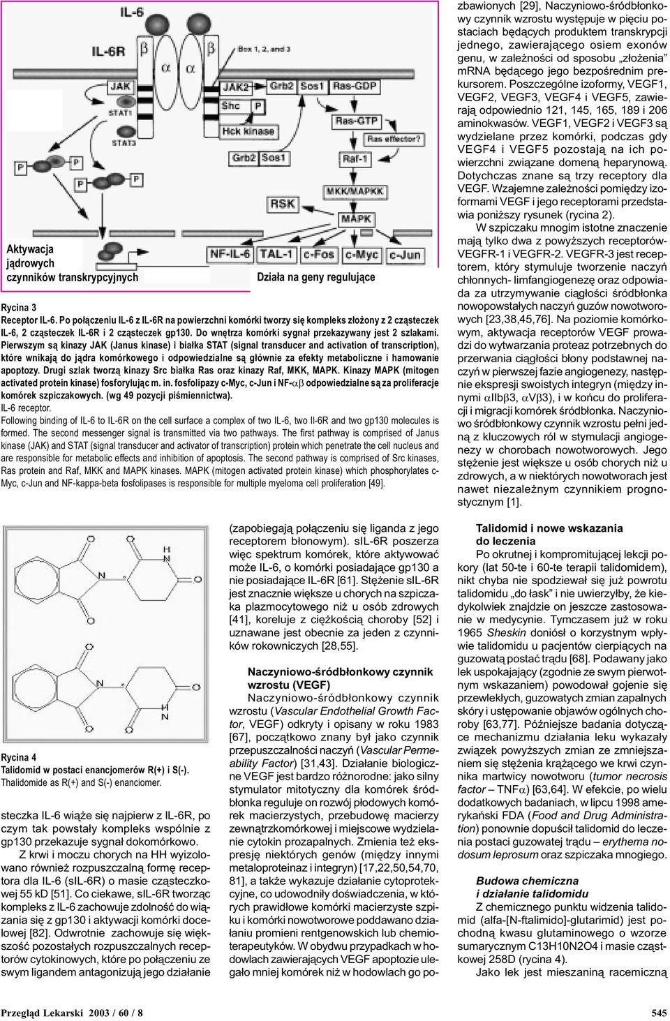 Pierwszym s¹ kinazy JAK (Janus kinase) i bia³ka STAT (signal transducer and activation of transcription), które wnikaj¹ do j¹dra komórkowego i odpowiedzialne s¹ g³ównie za efekty metaboliczne i