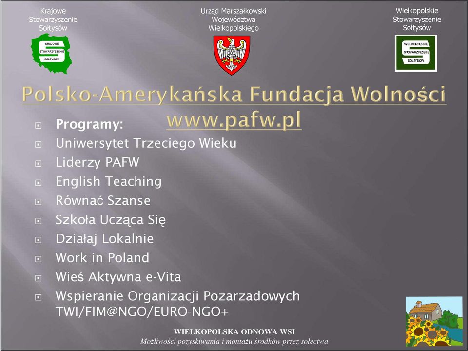 Działaj Lokalnie Work in Poland Wieś Aktywna e-vita
