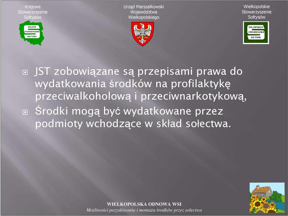 przeciwalkoholową i przeciwnarkotykową, Środki