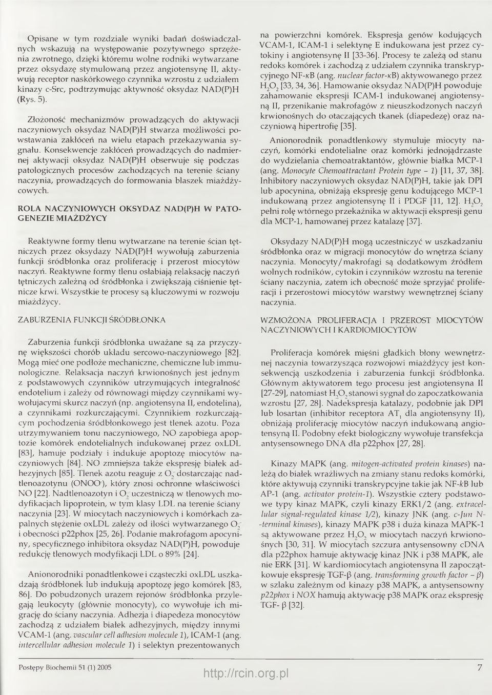 Złożoność mechanizmów prowadzących do aktywacji naczyniowych oksydaz NAD(P)H stwarza możliwości powstawania zakłóceń na wielu etapach przekazywania sygnału.