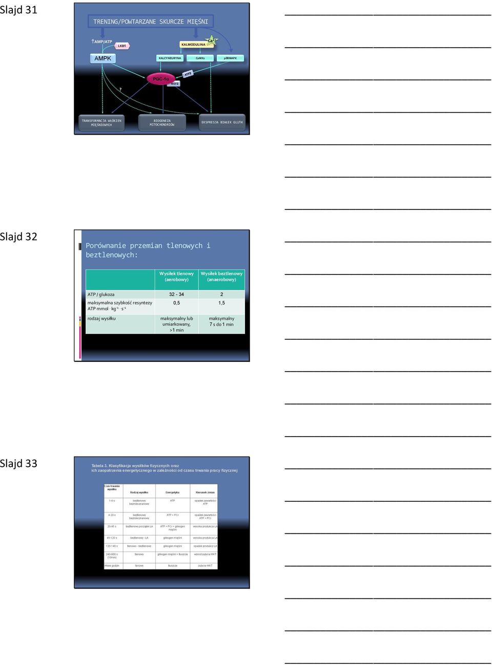Wysiłek tlenowy (aerobowy) Wysiłek beztlenowy (anaerobowy) ATP / glukoza 32-34 2 maksymalna szybkość resyntezy 0,5 1,5 ATP mmol. kg -1.