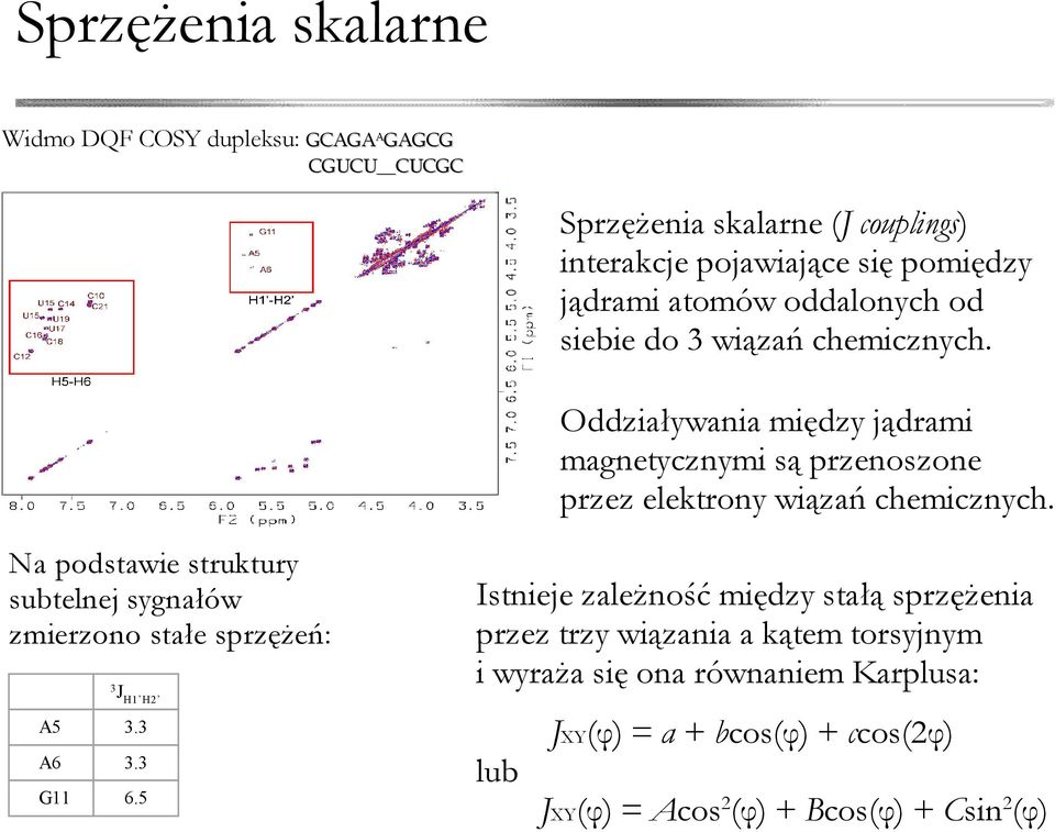 Oddziaływania między jądrami magnetycznymi są przenoszone przez elektrony wiązań chemicznych.