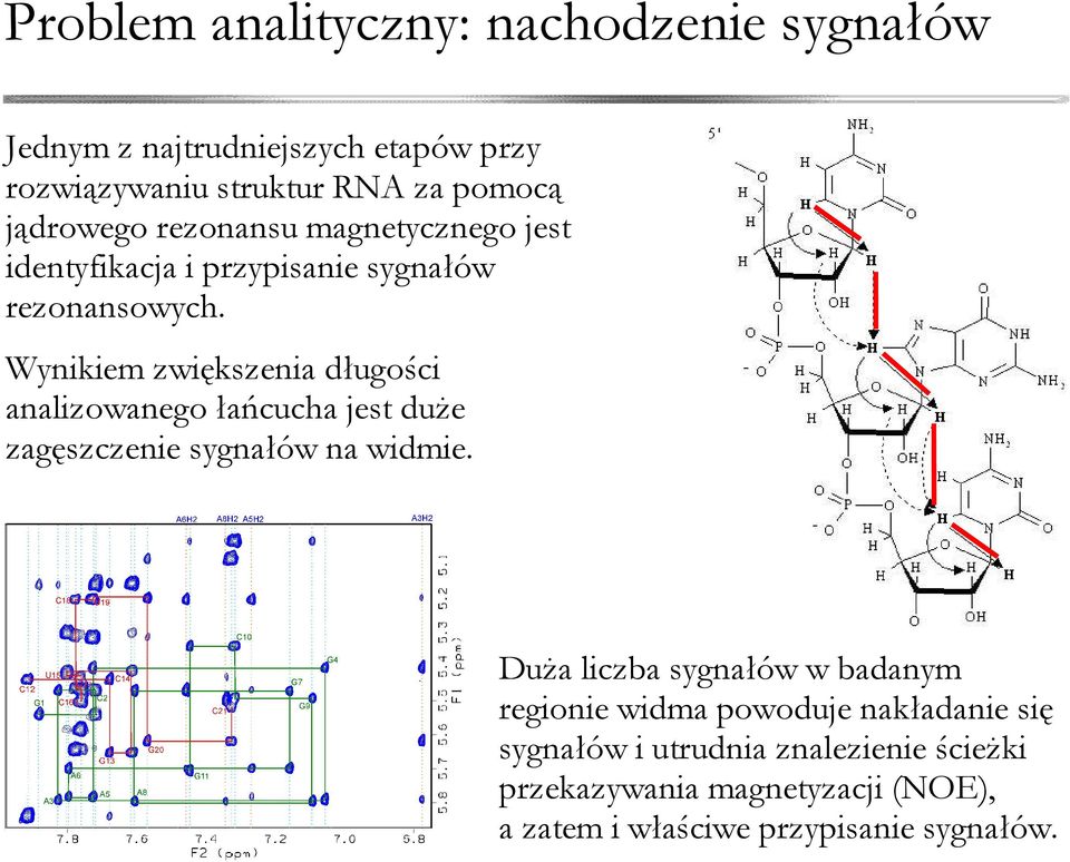 Wynikiem zwiększenia długości analizowanego łańcucha jest duże zagęszczenie sygnałów na widmie.