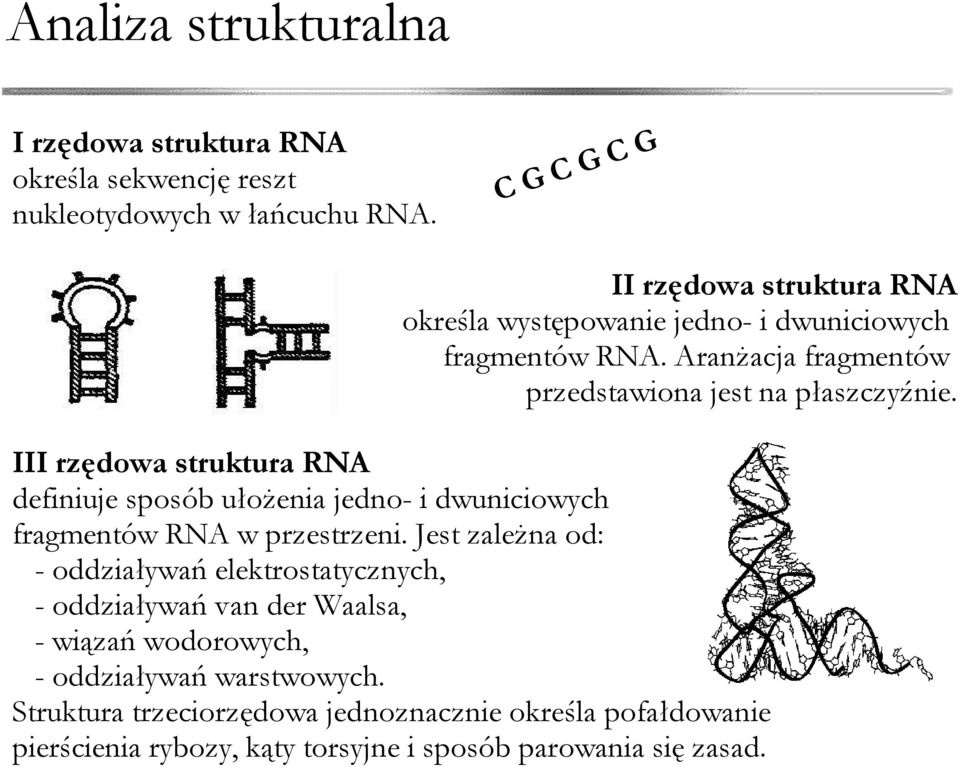 III rzędowa struktura RNA definiuje sposób ułożenia jedno- i dwuniciowych fragmentów RNA w przestrzeni.