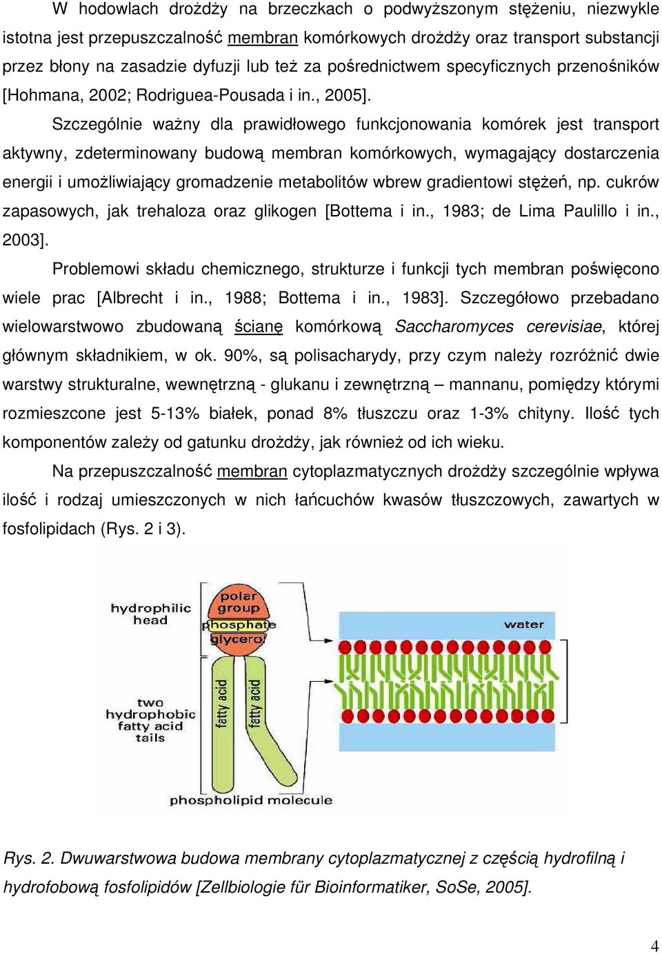 Szczególnie ważny dla prawidłowego funkcjonowania komórek jest transport aktywny, zdeterminowany budową membran komórkowych, wymagający dostarczenia energii i umożliwiający gromadzenie metabolitów