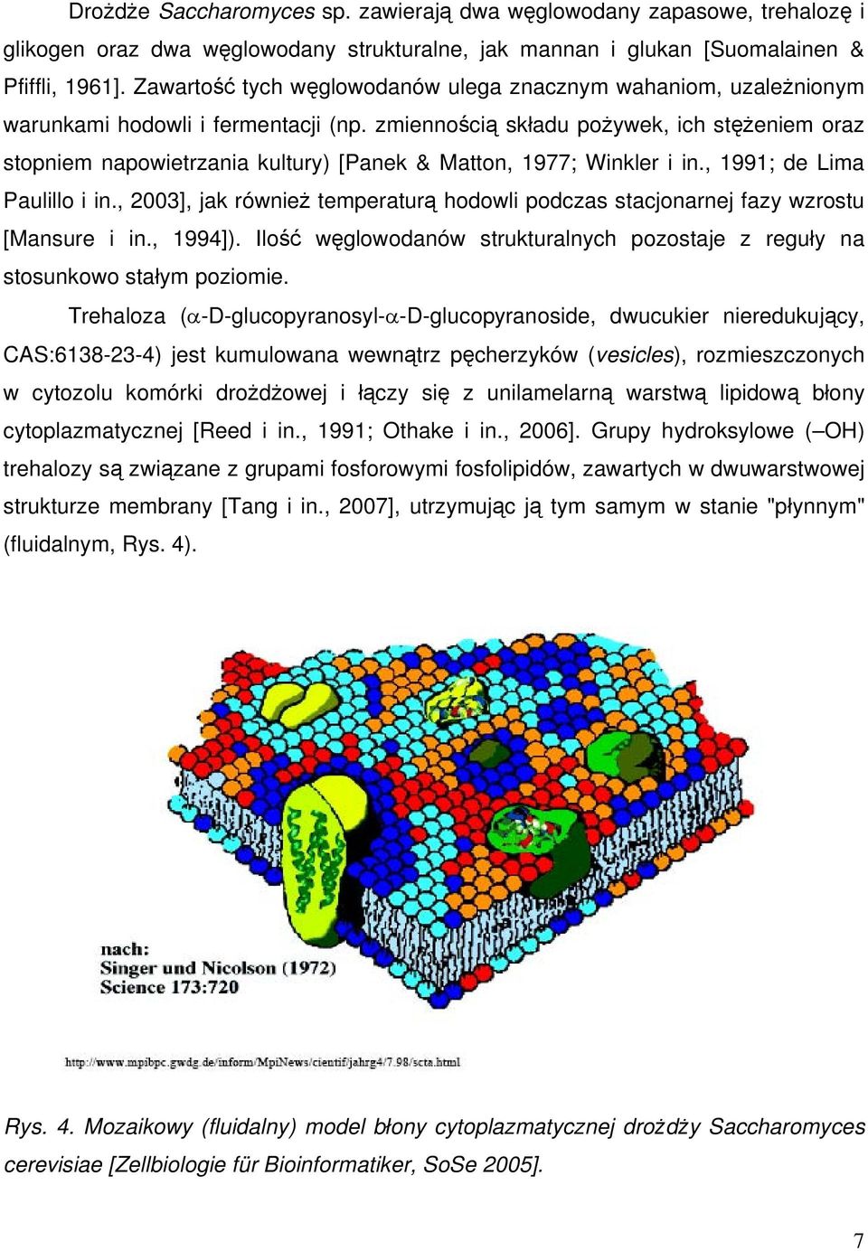 zmiennością składu pożywek, ich stężeniem oraz stopniem napowietrzania kultury) [Panek & Matton, 1977; Winkler i in., 1991; de Lima Paulillo i in.