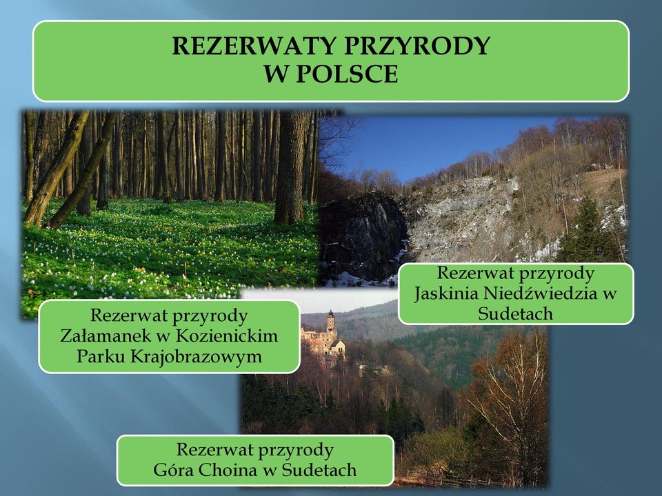 Rezerwat przyrody Jaskinia Niedźwiedzia w