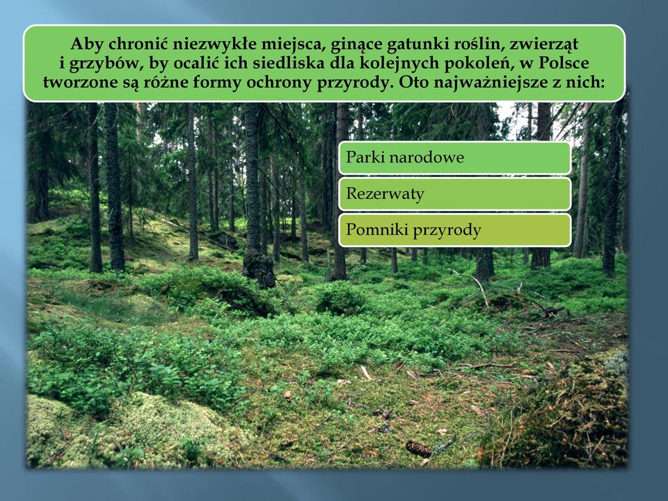 pokoleń, w Polsce tworzone są różne formy ochrony przyrody.