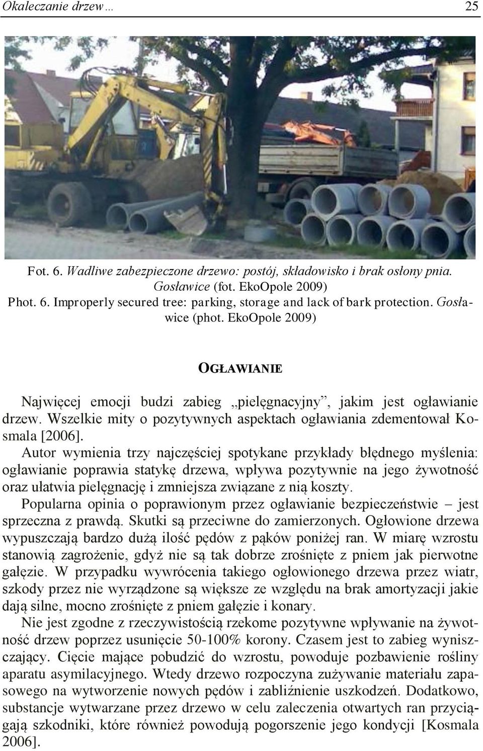 Autor wymienia trzy najczęściej spotykane przykłady błędnego myślenia: ogławianie poprawia statykę drzewa, wpływa pozytywnie na jego żywotność oraz ułatwia pielęgnację i zmniejsza związane z nią