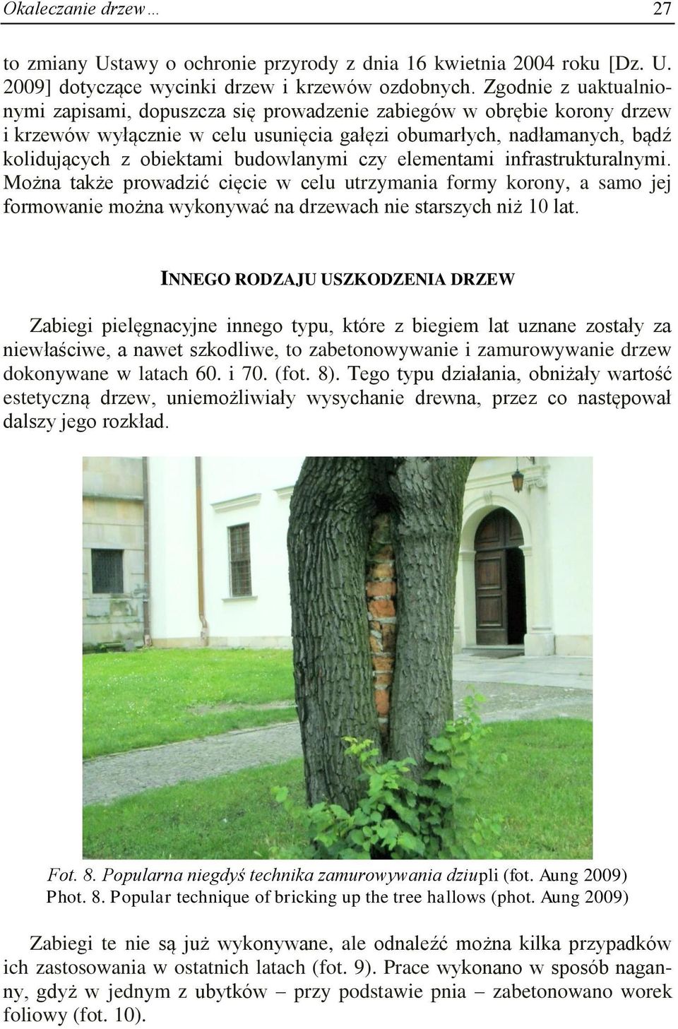 budowlanymi czy elementami infrastrukturalnymi. Można także prowadzić cięcie w celu utrzymania formy korony, a samo jej formowanie można wykonywać na drzewach nie starszych niż 10 lat.