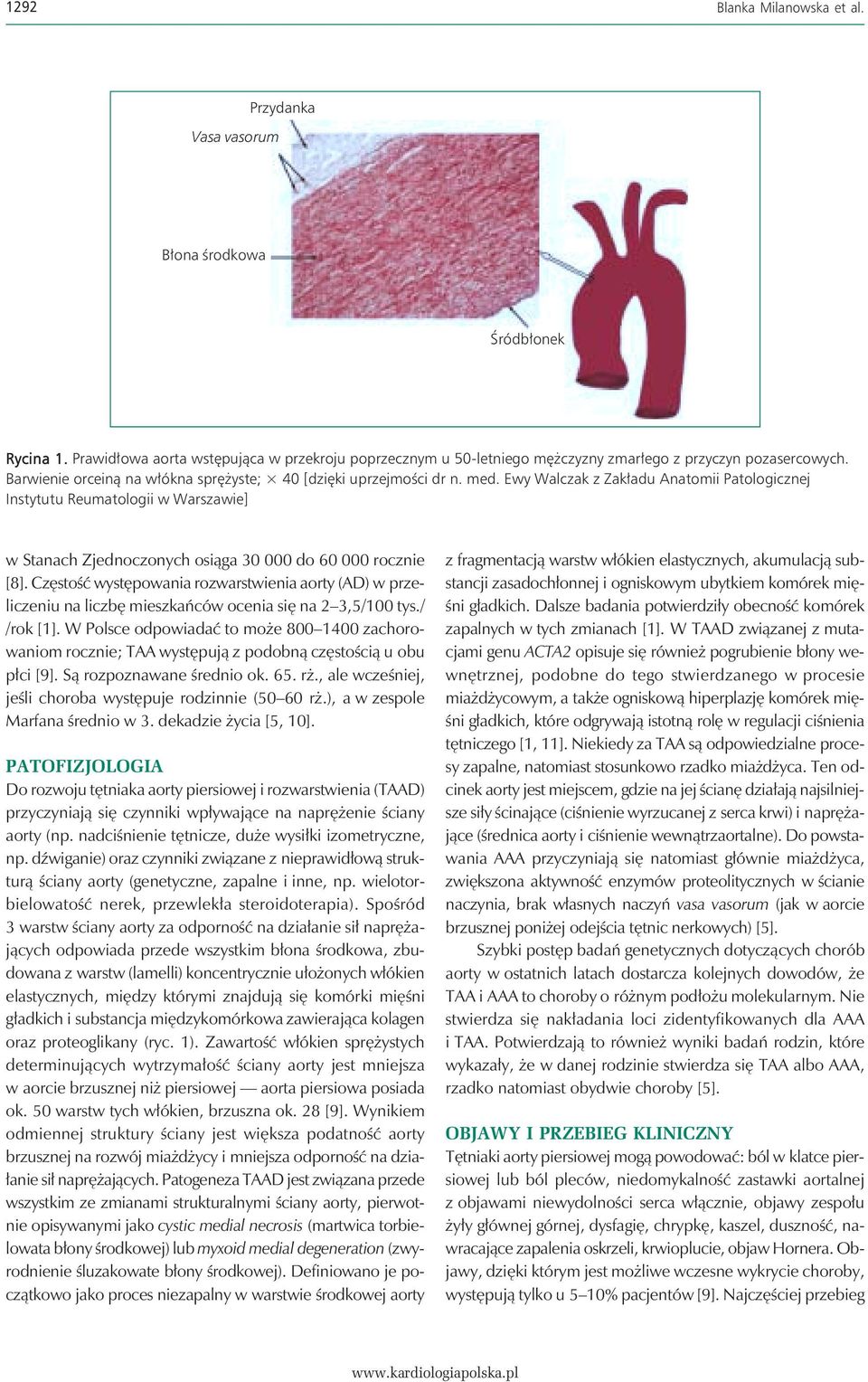 Ewy Walczak z Zakładu Anatomii Patologicznej Instytutu Reumatologii w Warszawie] w Stanach Zjednoczonych osiąga 30 000 do 60 000 rocznie [8].
