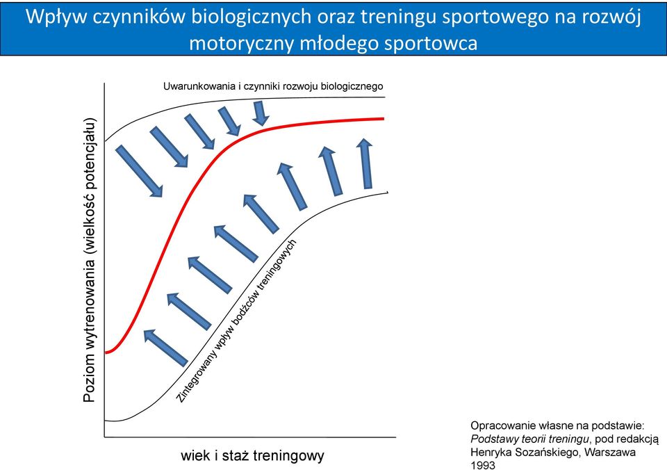 czynniki rozwoju biologicznego wiek i staż treningowy Opracowanie własne na