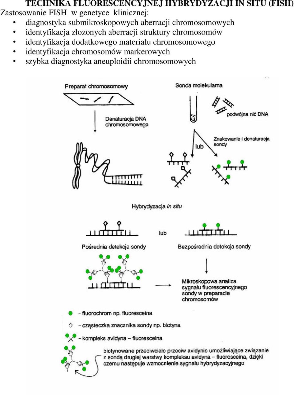 złożonych aberracji struktury chromosomów identyfikacja dodatkowego materiału