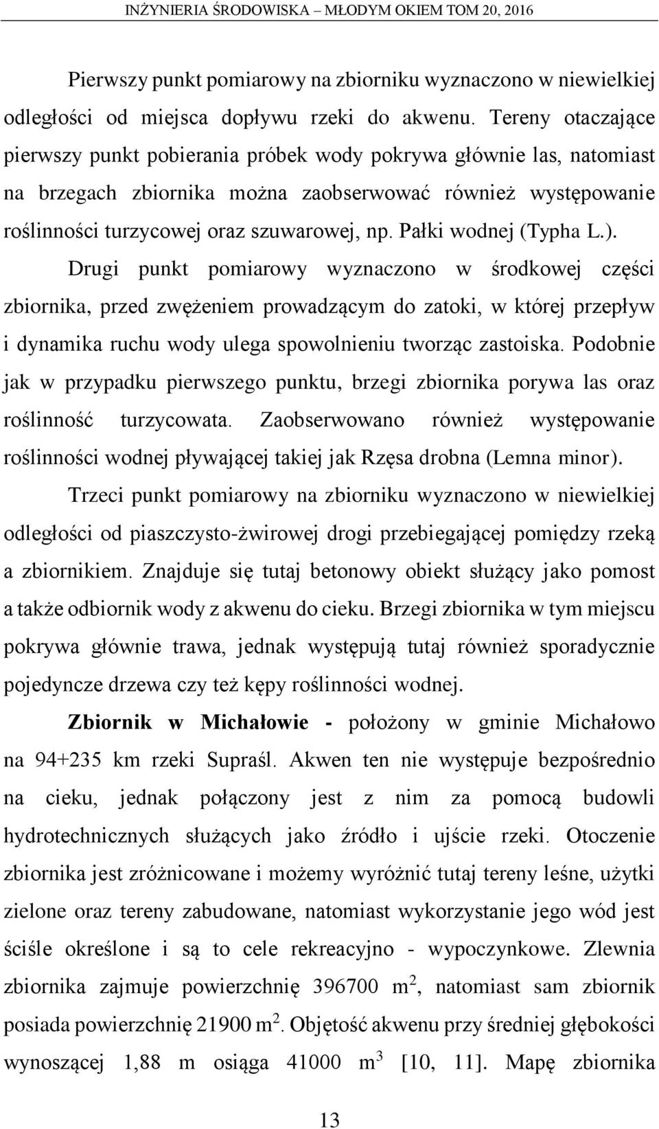 Pałki wodnej (Typha L.).