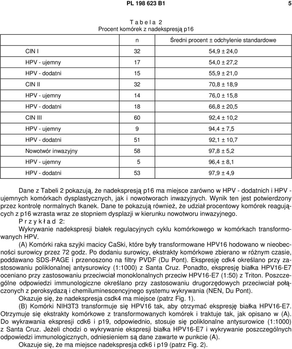 8,1 HPV - dodatni 53 97,9 ± 4,9 Dane z Tabeli 2 pokazują, że nadekspresją p16 ma miejsce zarówno w HPV - dodatnich i HPV - ujemnych komórkach dysplastycznych, jak i nowotworach inwazyjnych.