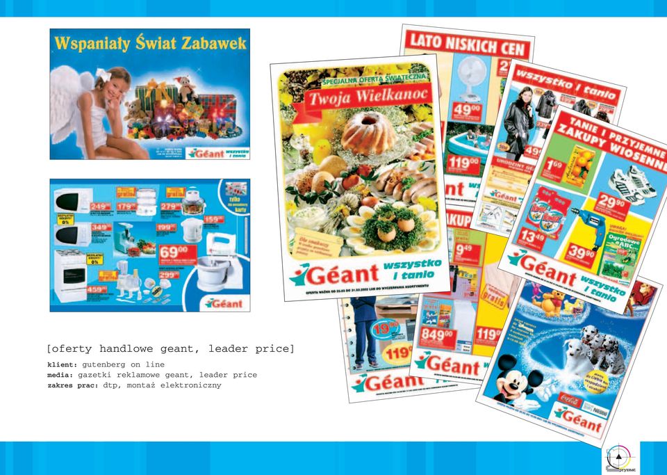 media: gazetki reklamowe geant,